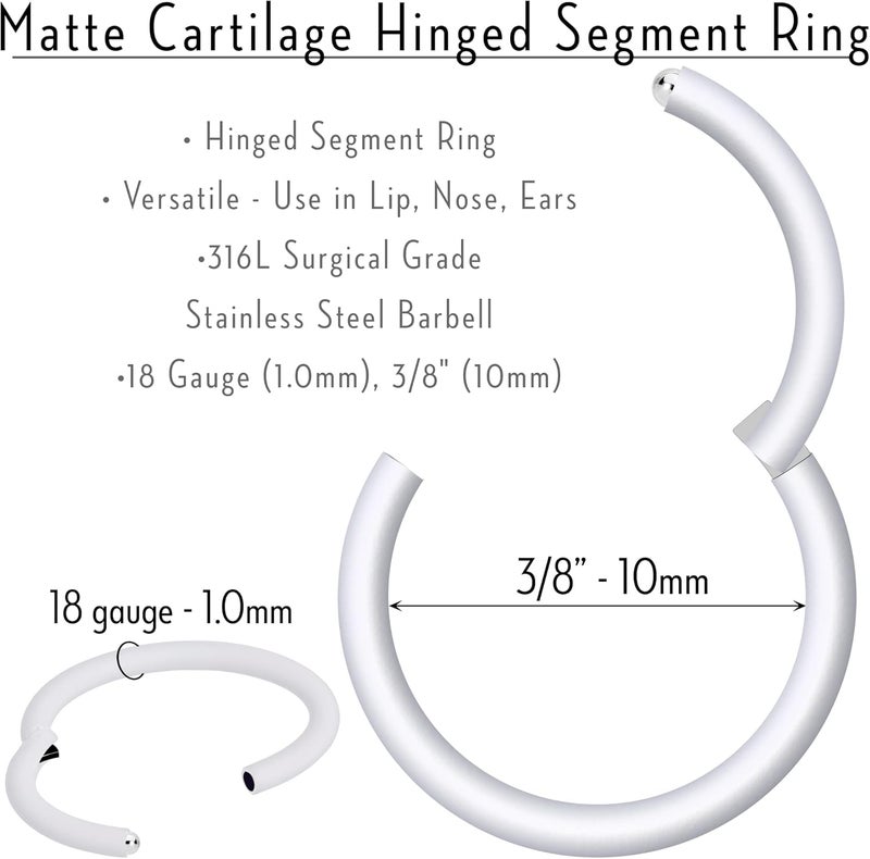 Body Candy Segment Hoop Rings 18 Gauge 316l Surgical Steel Lip Ring Cartilage - Image 5